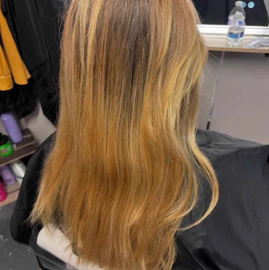 Bronde Melt